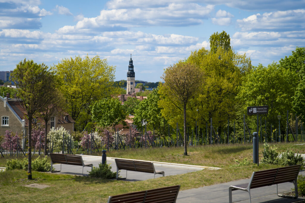 Panorama Zielonej Góry z widokiem na ratusz